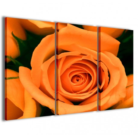 Quadro Poster Tela Orange Rose Flower 120x90 - 1