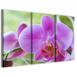 Quadro Poster Tela Orchidea 120x90 - 1