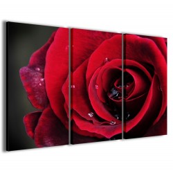 Quadro Poster Tela Red Rose II 120x90 - 1