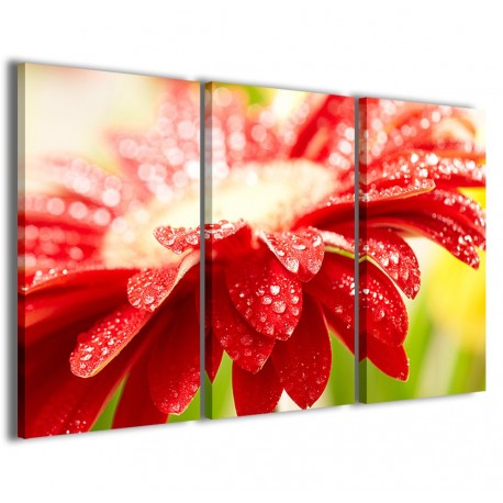 Quadro Poster Tela Superb Flower II 120x90 - 1