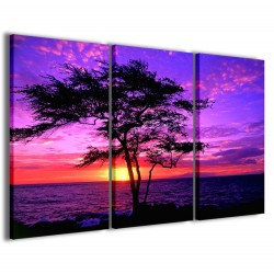 Quadro Poster Tela Kiawe Tree Hawaii 120x90