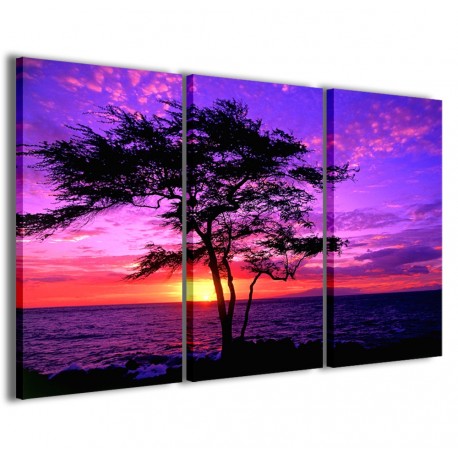 Quadro Poster Tela Kiawe Tree Hawaii 120x90 - 1