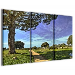 Quadro Poster Tela Natur Color 120x90