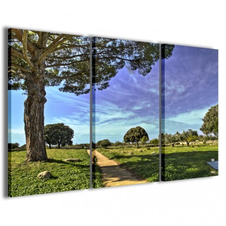 Quadro Poster Tela Natur Color 120x90 - 1