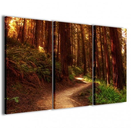 Quadro Poster Tela Path In The Woods 120x90 - 1