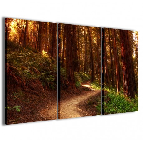 Quadro Poster Tela Path In The Woods 120x90 - 1
