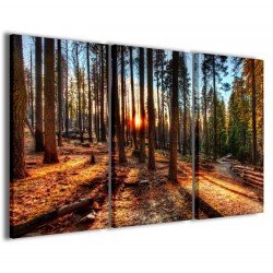 Quadro Poster Tela Redwood Park II 120x90