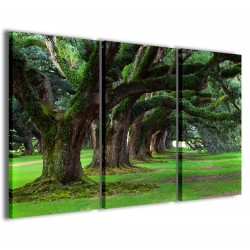 Quadro Poster Tela Secular Plants 120x90