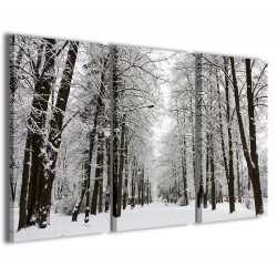 Quadro Poster Tela Snow In Autumn 120x90