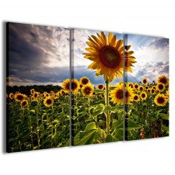 Quadro Poster Tela Sunflowers V 120x90