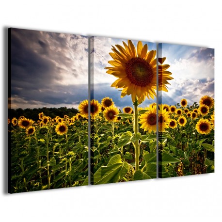 Quadro Poster Tela Sunflowers V 120x90 - 1