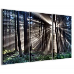 Quadro Poster Tela Sunlight 120x90