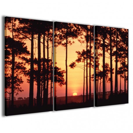 Quadro Poster Tela Sunset Through The Trees 120x90 - 1