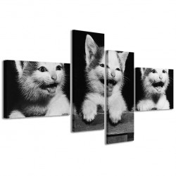 Quadro Poster Tela Cat Smiling 160x70