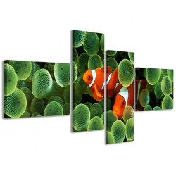 Quadro Poster Tela Clownfish Anemone 160x70