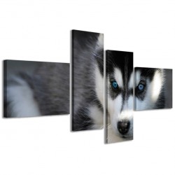 Quadro Poster Tela Husky 160x70