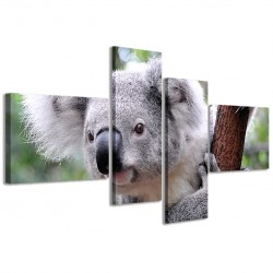 Quadro Poster Tela Koala 160x70