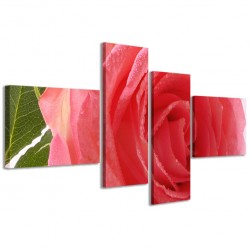 Quadro Poster Tela Beatiful Rose II 160x70 - 1