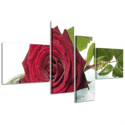 Quadro Poster Tela Blown Rose 160x70