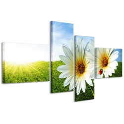 Quadro Poster Tela Daisies 160x70 - 1