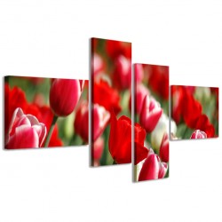 Quadro Poster Tela Field of Tulips 160x70