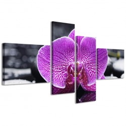 Quadro Poster Tela Orchidea Reflected III 160x70 - 1