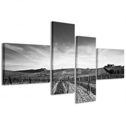 Quadro Poster Tela Colline Senesi 160x70 - 1