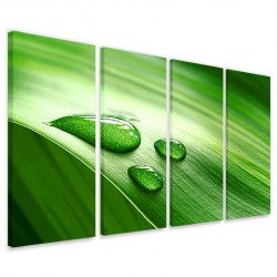 Quadro Poster Tela Dewdrops 160x90