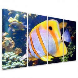 Quadro Poster Tela Butterfly Fish 160x90 - 1