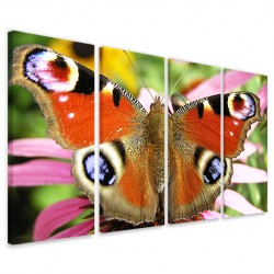 Quadro Poster Tela Butterfly II 160x90 - 1