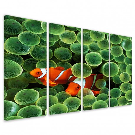 Quadro Poster Tela Clownfish Anemone 160x90 - 1