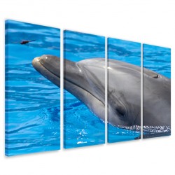 Quadro Poster Tela Delfino 160x90 - 1