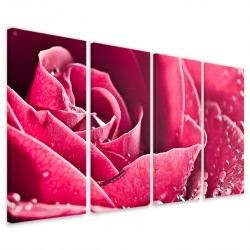 Quadro Poster Tela Beatiful Rose 160x90 - 1