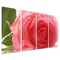 Quadro Poster Tela Beatiful Rose II 160x90 - 1