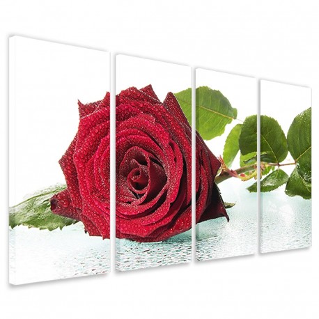 Quadro Poster Tela Blown Rose 160x90 - 1