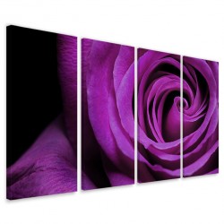 Quadro Poster Tela Blu Rose 160x90 - 1