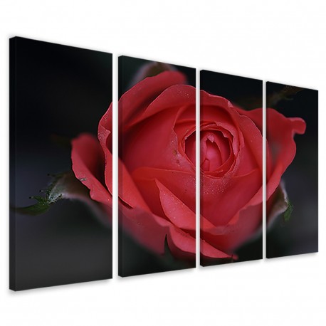 Quadro Poster Tela Bouche Rose 160x90 - 1