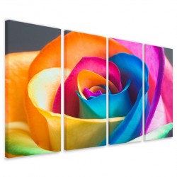 Quadro Poster Tela Color Rose 160x90 - 1