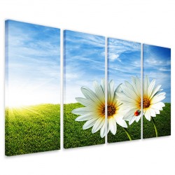 Quadro Poster Tela Daisies 160x90 - 1