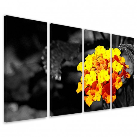Quadro Poster Tela Black Color Flower 160x90 - 1