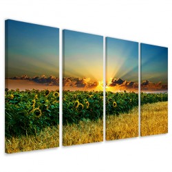 Quadro Poster Tela Beatiful Sunflower II 160x90