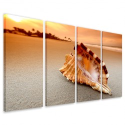 Quadro Poster Tela Conch on Sea 160x90