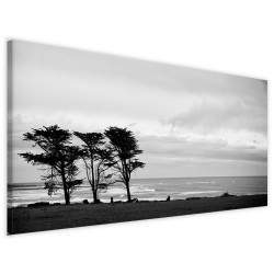 Quadro Poster Tela Solitary Trees 40x90 - 1