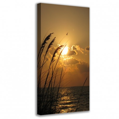 Quadro Poster Tela Coul II 90x40 - 1