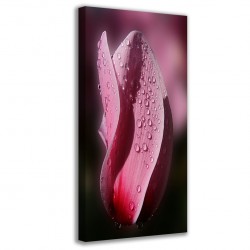 Quadro Poster Tela Sensation 90x40 - 1