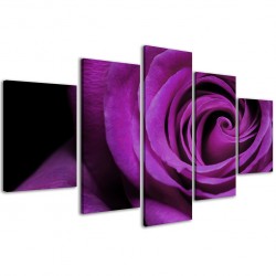 Quadro Poster Tela Purple Rose / 173 200x90 - 1