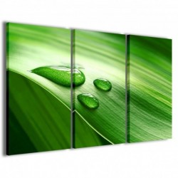 Quadro Poster Tela Dewdrops 100x70 - 1