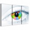 Quadro Poster Tela Eyes Color 100x70 - 1
