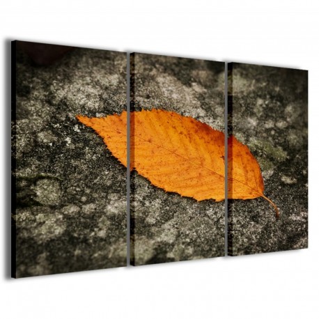 Quadro Poster Tela Single Leaf 100x70 - 1