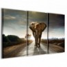Quadro Poster Tela Big Elephant 100x70 - 1